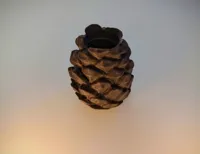 Cache géocaching en forme de pomme de pin — photo 3
