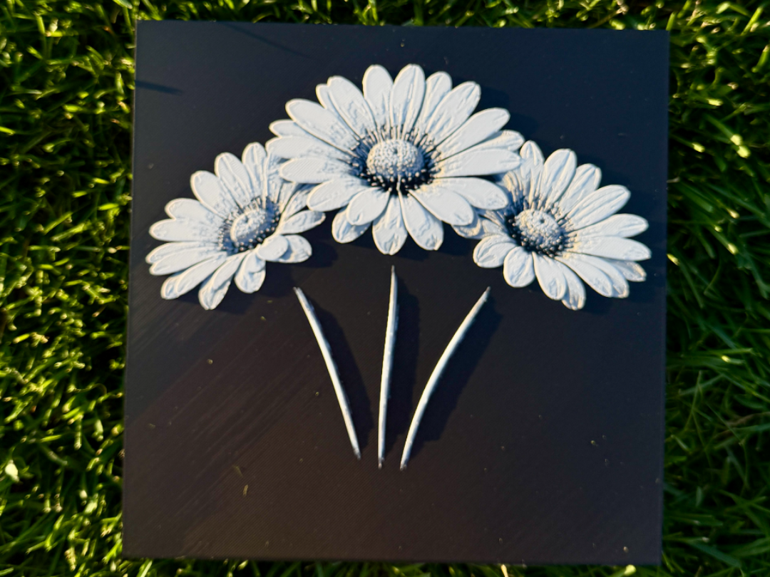 Daisy Portrait Flower Series