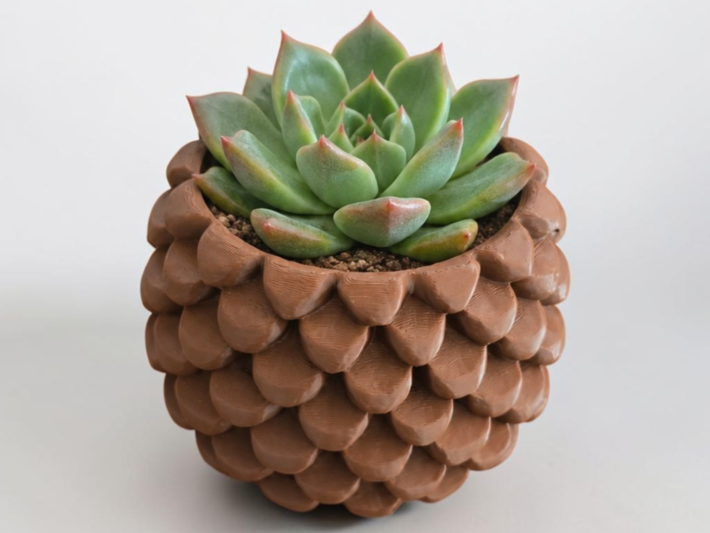 Cache-pot Pomme de Pin 3D model