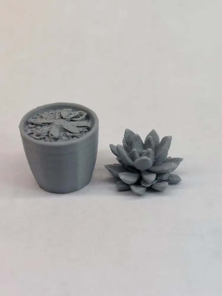 Miniature Succulent and Pot - Free 3D Print Model - MakerWorld