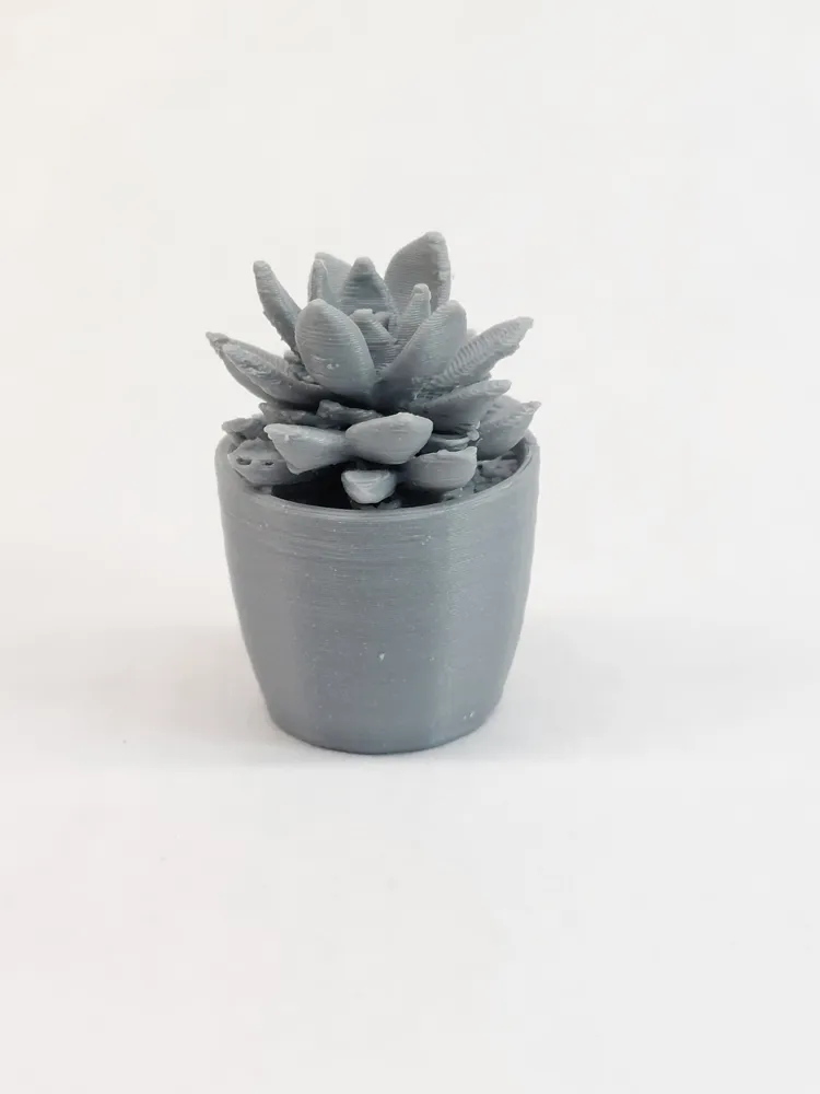 Miniature Succulent and Pot - Free 3D Print Model - MakerWorld