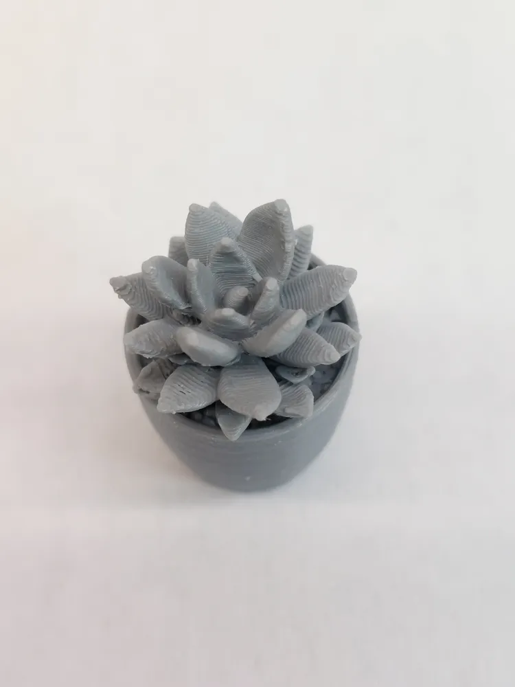 Miniature Succulent and Pot - Free 3D Print Model - MakerWorld