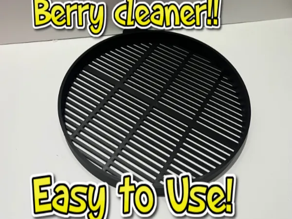 Berry Cleaner