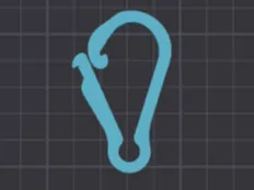 STRONG Carabiner - holds AT LEAST 50 kg of weight!