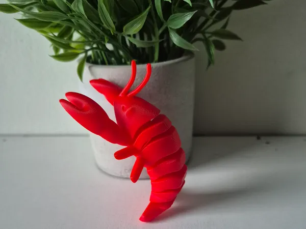 https://makerworld.bblmw.com/makerworld/model/US57016312e22e0d/design/2025-12-07_6823eeaa66604.jpg