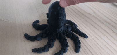 Rocktopus