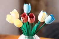 Tulip (P1S)