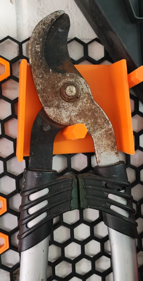 https://makerworld.bblmw.com/makerworld/model/US57062230f166c5/design/2024-12-30_18ac51441caf8.jpg