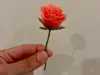 0.2mm layer, 2 walls, 15% infill, tree support