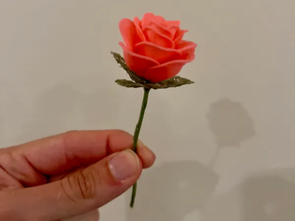 https://makerworld.bblmw.com/makerworld/model/US57072e992e0271/design/2025-04-27_ffef3a2fec9d98.jpg