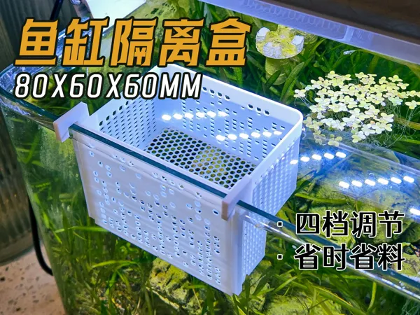 https://makerworld.bblmw.com/makerworld/model/US570ebce0ada584/design/27457fa593682fa2.jpg