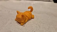1 color 0.16mm layer, 2 walls, 15% infill