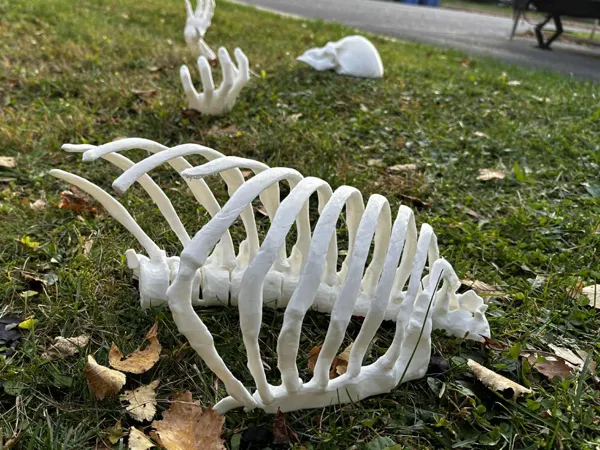 https://makerworld.bblmw.com/makerworld/model/US571c08793624f0/design/2025-10-14_f68e5f40e5b8d8.jpg