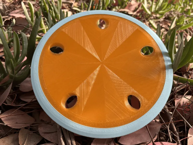 The Sand-Dollar, a Toroidal Mid-Range Disc
