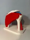 NO AMS (100% SCALE)