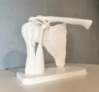 1 COLOR (50% SCALE)