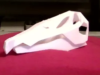 Spinosaurid skull box (no crest sorry)