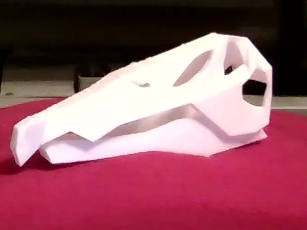 Spinosaurid skull box (no crest sorry)