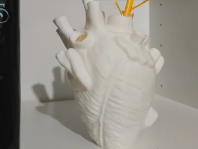 Anatomical Heart Vase - No Support