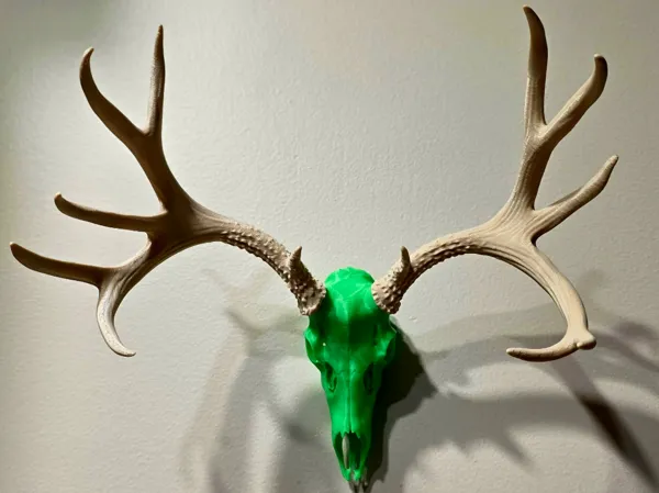 https://makerworld.bblmw.com/makerworld/model/US572b7dda2cf379/design/175b5f391b759179.jpg
