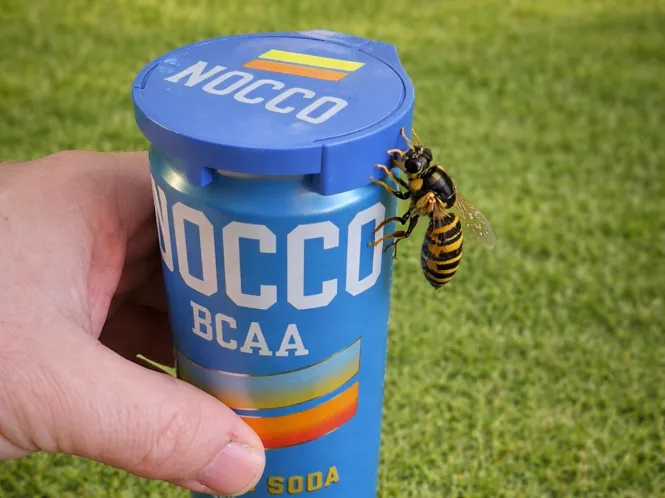 Burklocksskydd NOCCO 