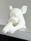 Single Color - 0.2mm layer, 2 walls, 15% infill