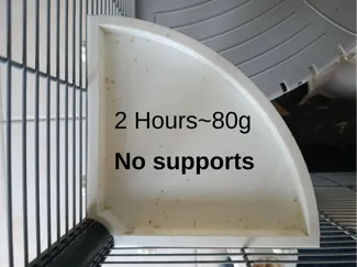 Modular platform for rodents/birds