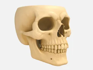 Halloween Skull Bowl