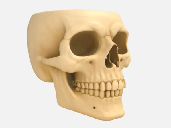 https://makerworld.bblmw.com/makerworld/model/US573369085750f2/design/2025-10-13_151399f154d1c.png
