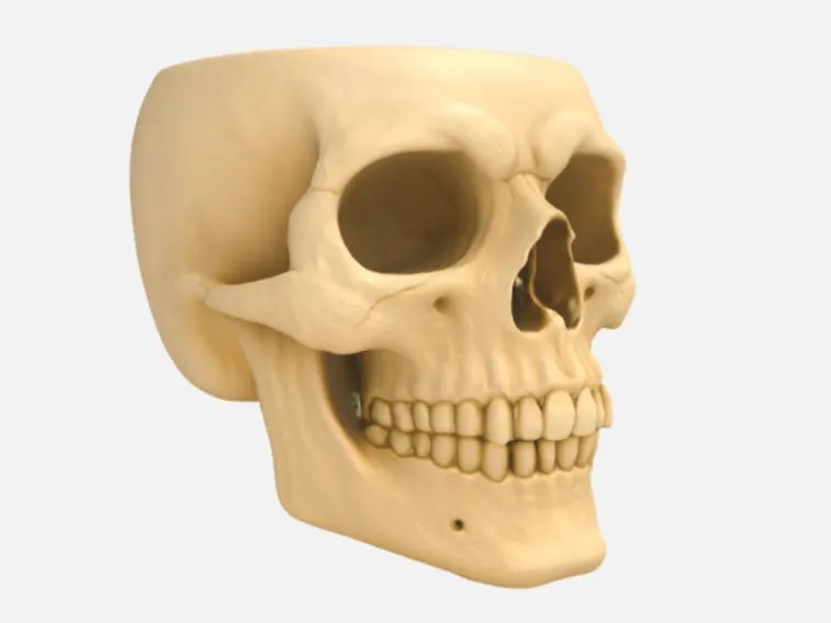 Halloween Skull Bowl
