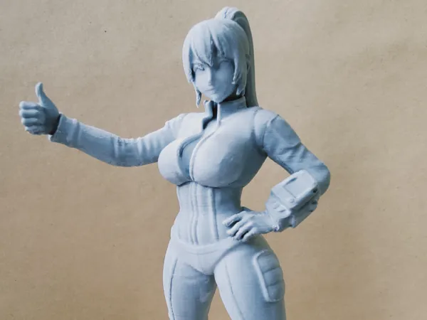 https://makerworld.bblmw.com/makerworld/model/US573705a4b9ec51/design/7a4f317f57cdbcdb.jpg