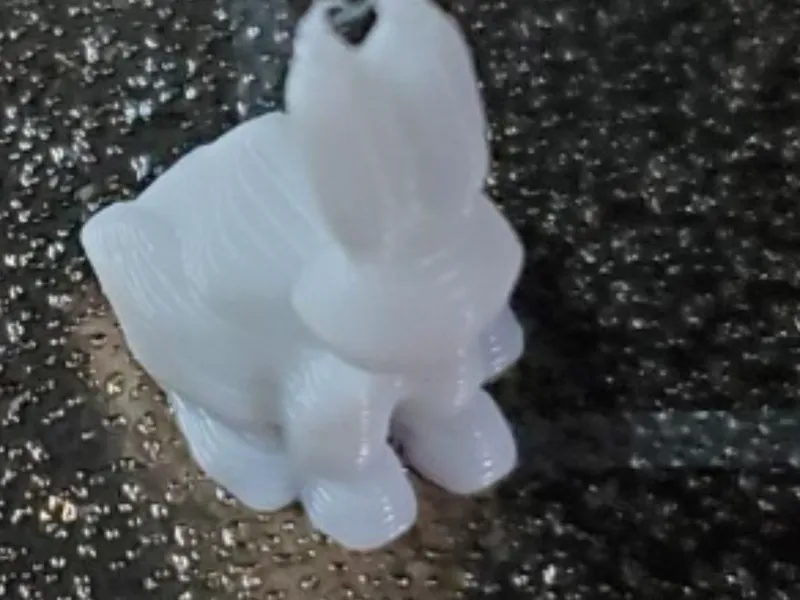 the bunny dude