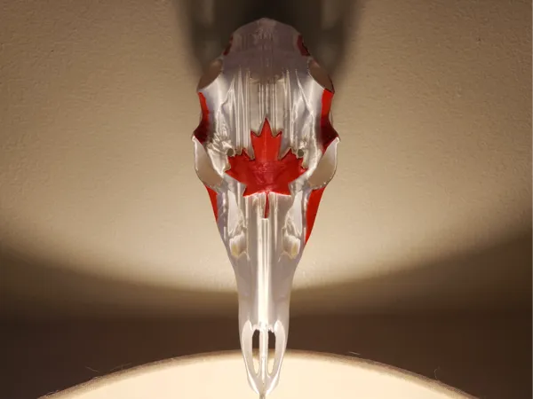 https://makerworld.bblmw.com/makerworld/model/US573e6b6144caa8/design/2025-01-10_5fbe69fa3d654.jpg