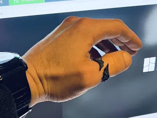 Dragon Wing Ring