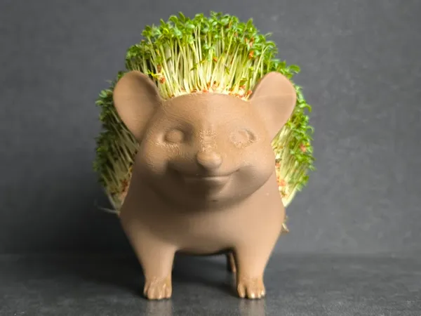 https://makerworld.bblmw.com/makerworld/model/US5743d86817b401/design/2025-03-23_35c383134208c.jpg