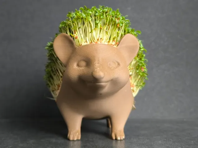 Cress Hedgehog