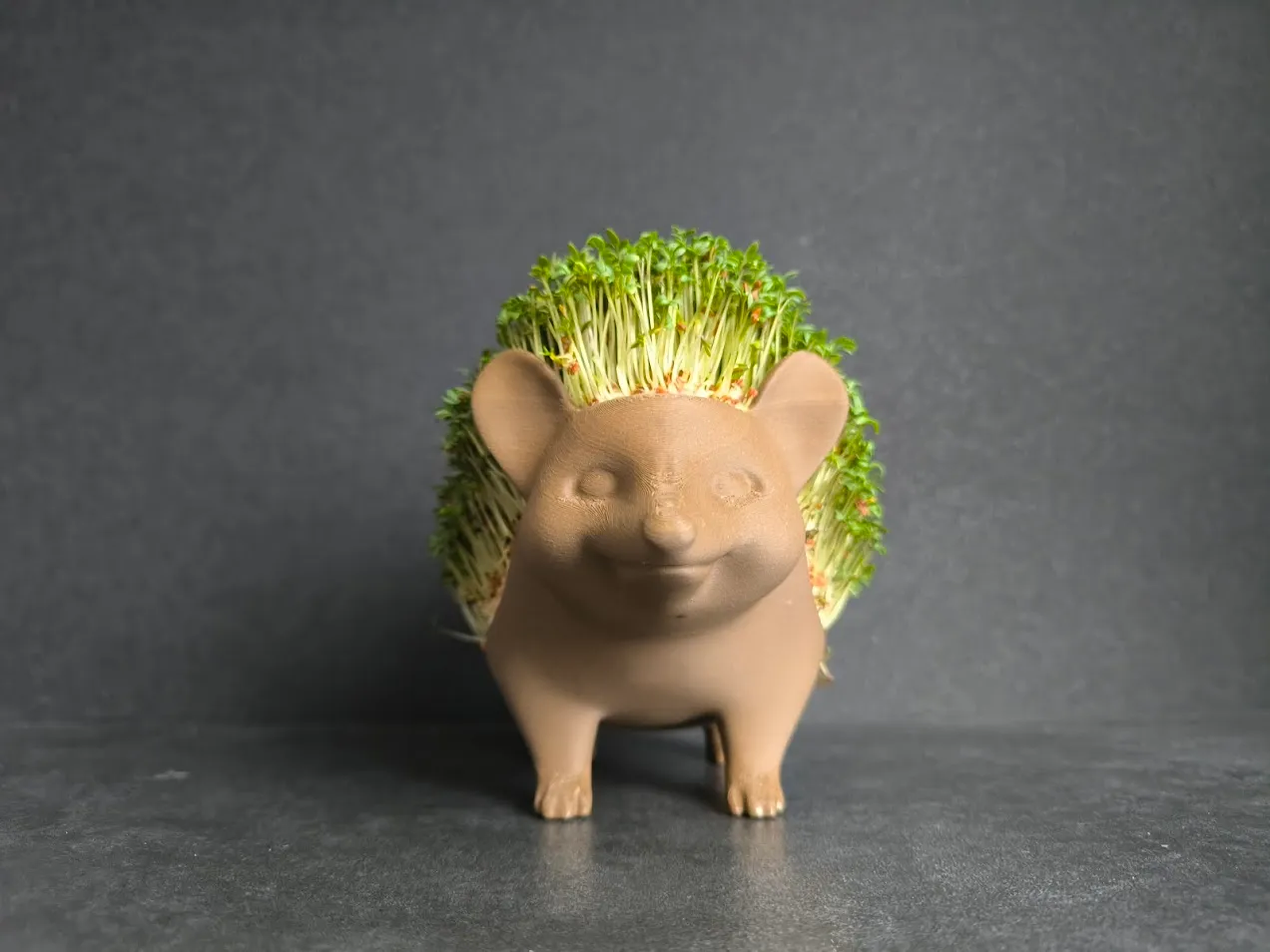 Cress Hedgehog view 3