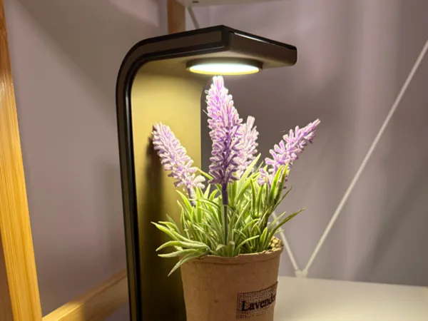 https://makerworld.bblmw.com/makerworld/model/US574524fd1aea3a/design/2025-03-01_5ff47bb15645d.jpg
