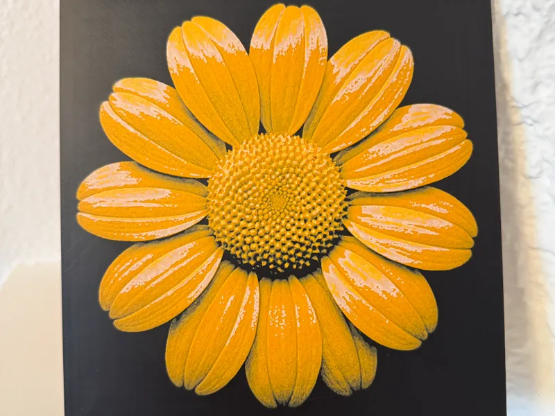 Mexican Sunflower HueForge