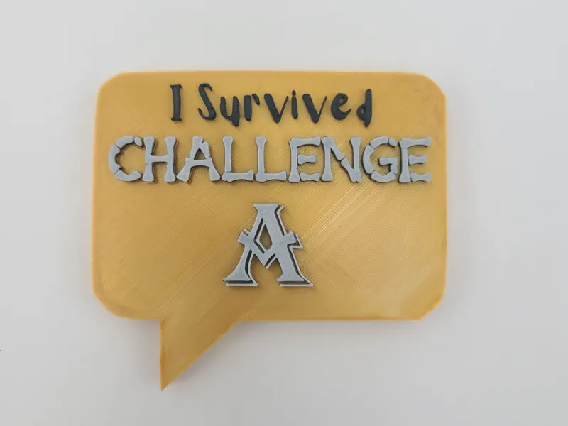 I Survived Challenge A Magnet