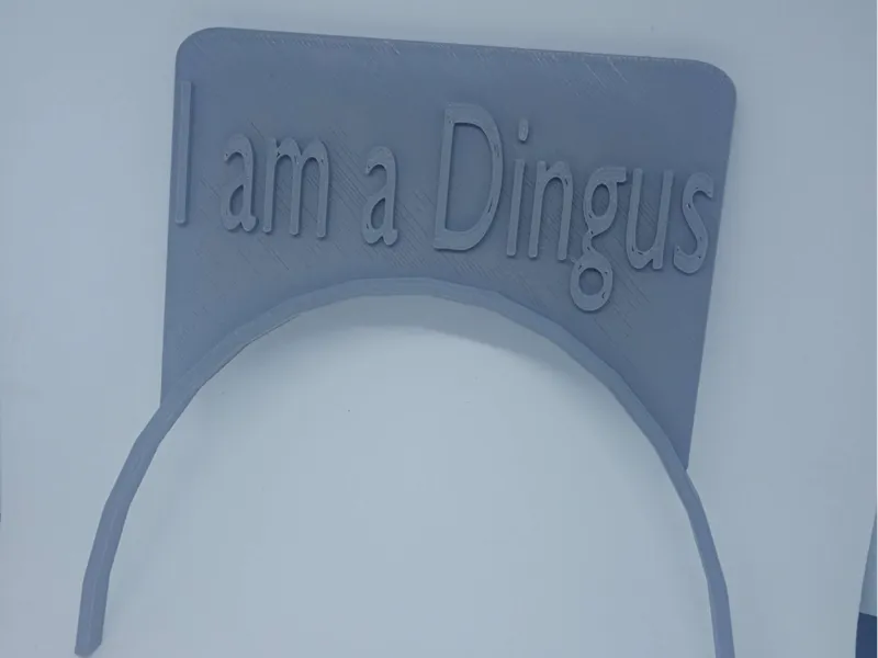 Dingus Headband