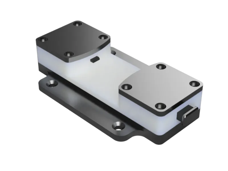 Quick Release IWB Holster Mount for WTP