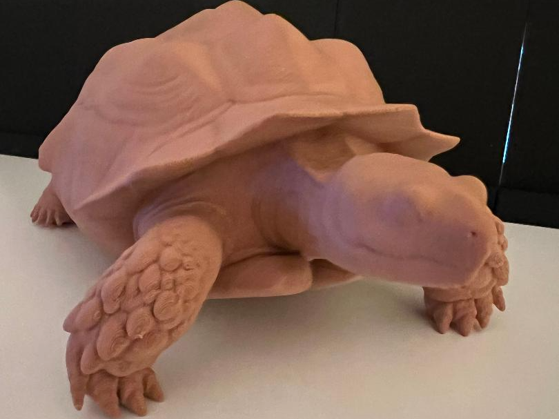 Sulcata Tortoise Sculpture
