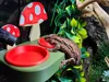 custom bowles mushroom feed ledge