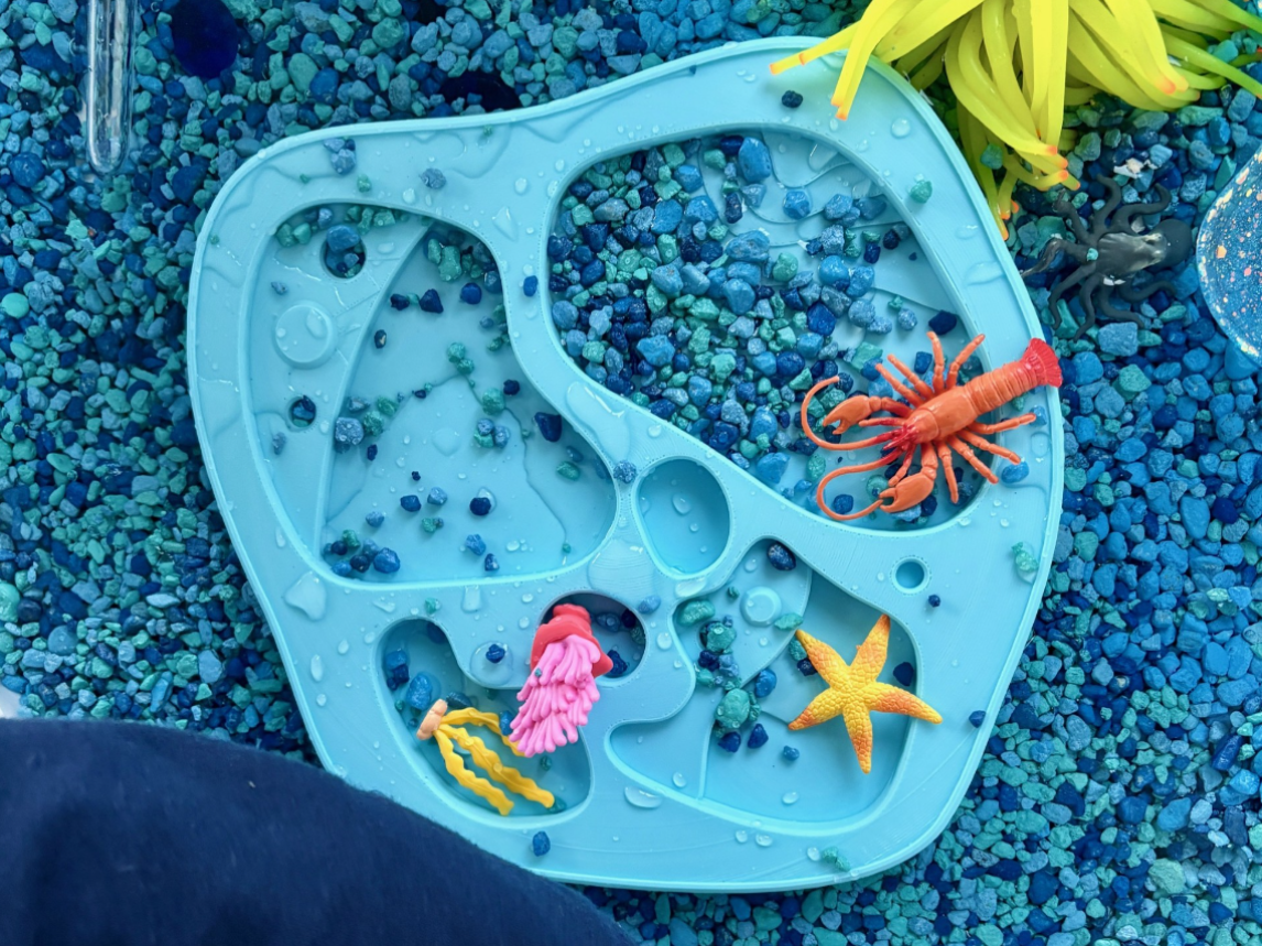Tidepool Ocean Sensory Play Tray