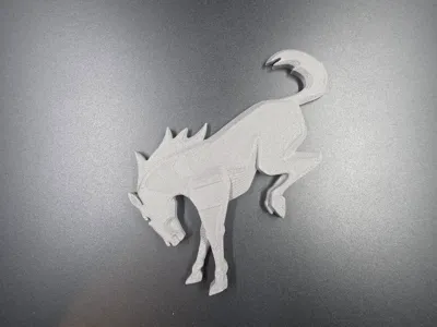Bronco