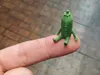 0.2mm nozzle, 0.1mm layer, 4 walls, 15% infill