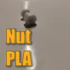 Nut - 0.1mm layer, 2 walls, 100% infill