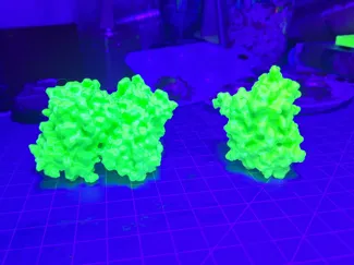 Green Fluorescent Protein (GFP) & SuperFolder GFP