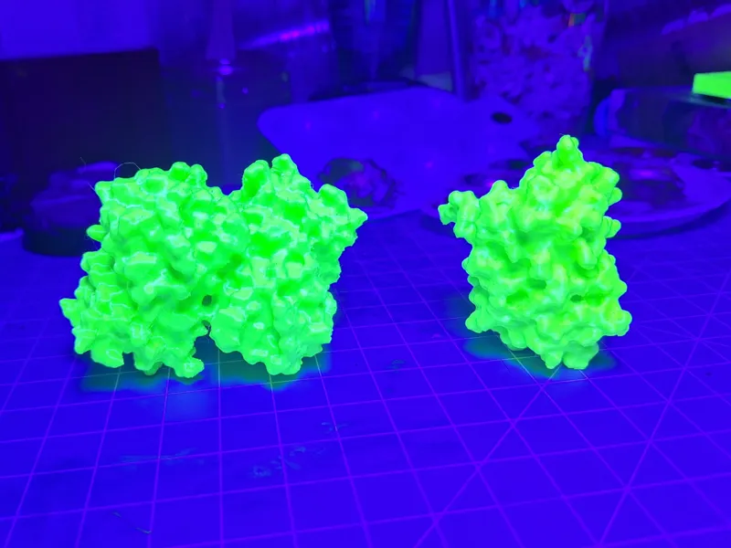 Green Fluorescent Protein (GFP) & SuperFolder GFP